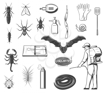 House pests control, insects and animals vector icons. Termite, silverfish and moth, spider, weevil beetle and scorpion, house centipede, bat and snake, worker with sprayer, mosquito coil and rattrap