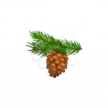 Pine cone or pinecone on fir tree branch, isolated vector icon. Christmas winter or Thanksgiving autumn season holiday wreath symbol of pine cone on green branch, conifer forest nature and plants