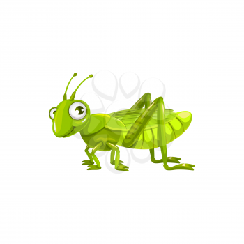 Cartoon grasshopper vector icon, funny locust insect with cute face and big eyes. kids club or pest control service mascot, design element, wild creature isolated on white background