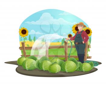 Farmer watering cabbage vegetables with watering hose vector design of agriculture and farming. Gardener working in farm garden with hat, boots and overalls, fields with crop plants and sunflowers