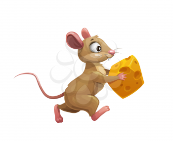 Funny cartoon mouse with cheese vector cute little rodent animal character. Brown rat or mouse running with piece of yellow swiss cheese, hungry rat stealing food, isolated background