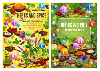 Spices and herbal cooking ingredients, herbs and seasonings, condiments. Vector garlic, mint and basil, rosemary and parsley, dill and lavender, pepper, bay leaf, oregano and cinnamon herbs