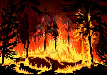 Pine forest fire, wildfire danger disaster with burning trees, grass and bushes, vector background natural disaster of burning forest in fire flames, nature and environment ecology catastrophe