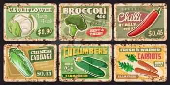 Vegetables rusty metal plates, vector price tags for farm market veggies cauliflower, cucumber, chili and broccoli with chinese cabbage or carrot vintage rust tin signs. Organic food ferruginous cards