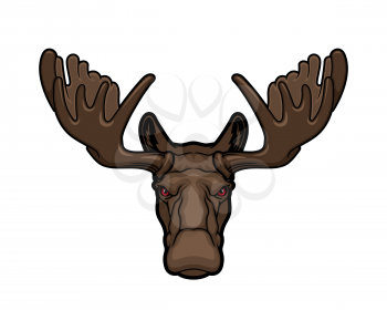 Moose or elk head animal mascot, hunting sport or wildlife vector theme. Hoofed and horned elk with palmate antlers and brown fur isolated on white