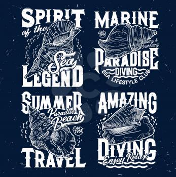Tshirt prints with sketch sea shells for apparel design. Vector labels with conch and typography. Engraved grunge t shirt prints or emblem for marine diving club or nautical sport team isolated set