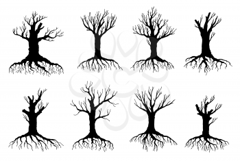 Dead and withered tree vector silhouettes of environment and ecology design. Old dry crooked tree isolated objects, black bare branches, trunks, roots and leafless crowns of forest plants