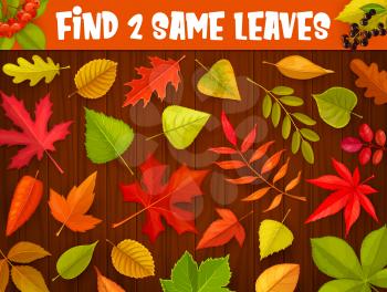 Kids maze game, find two same autumnal leaves, vector tabletop riddle. Find and match correct autumn leaf of oak, maple or rowan, elm or birch and ash tree, kids cartoon board game puzzle