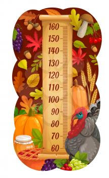 Kids height chart with thanksgiving turkey, harvest and autumn leaves. Children growth meter centimeter vector scale with mushroom, pumpkin and honey, pie, grapes and wheat ears, oak acorn and leaves