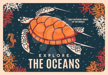 Sea turtle retro vector poster, oceanarium or ocean coral reef and undersea life. Sea world or underwater marine life tours and diving excursions, marine adventure with seahorses and turtles