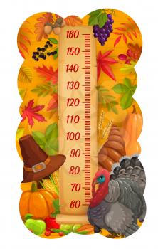 Kids height chart thanksgiving turkey, harvest and autumn leaves growth meter. Vector wall sticker ruler for children height measurement with autumnal crop, scale with pumpkin, fruits and cornucopia