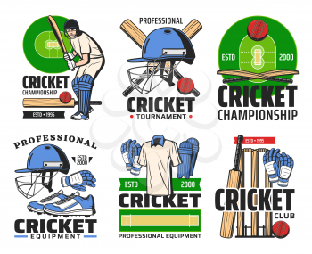 Cricket sport club icons with vector balls, bats and player, wickets and batman on play field with helmets, uniform gloves and leg pads. Cricket game equipment and sporting championship symbols