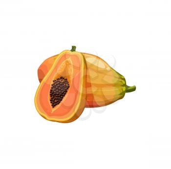 Papaya fruit, vector fresh tropical plant. Isolated whole and half natural exotic fruit with juicy yellow pulp and seeds. Ripe healthy organic product, cartoon element for design on white background