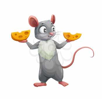 Cartoon mouse and two halves of cheese. Vector cute rat or mouse, hungry rodent animal character holding wedges of swiss cheese, little grey mouse with pink ears, tail and white chest