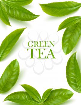 Green tea leaves herbal background. Vector frame of organic beverage advertising with 3d green tea leaves. Border or poster with realistic leaves, template for natural healthy aroma drink