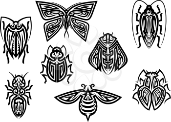 Insect tattoos in tribal style isolated on white background