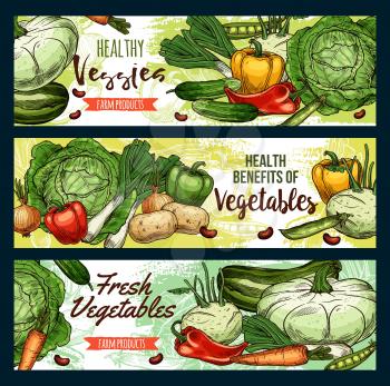 Vegetables, farm market veggies and healthy organic vegetarian food banners. Vector cabbage, pepper and potato, green salads and carrot, squash and beans or peas, tomatoes and onion leek