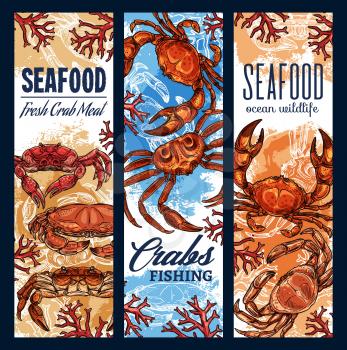 Seafood fishing sketch banners, ocean fish and sea food fishery industry. Vector fisher market seafood crabs and lobsters meat, ocean wildlife, sea fisherman club and gourmet