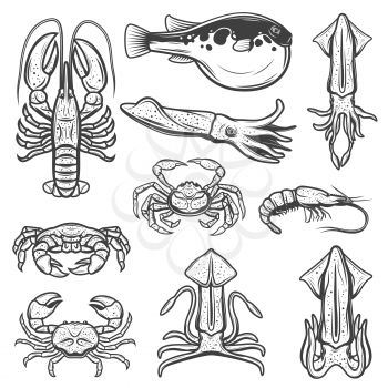 Seafood and fish sketches of lobster, crabs and shrimp, squids, cuttlefish, fugu and prawn. Vector shellfish, marine animals and ocean crustacean icons of fishing sport and restaurant menu design