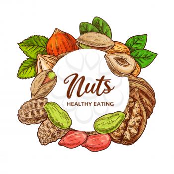Nuts and legume beans vector sketch of food design. Peanut, almond and pistachio, hazelnut, walnut and groundnut round frame with dried seeds and grains, nut shells and kernels