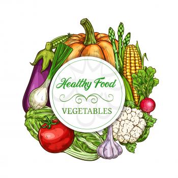 Vegetables, healthy greenery food, vector veggies and farm harvest sketch banner. Pumpkin and asparagus, tomato and garlic, cauliflower and corn, cabbage and eggplant, onion and radish vegetables