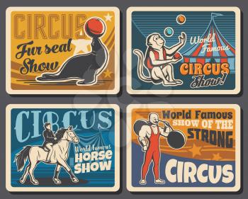 Big top tent circus, chapiteau carnival show with trained animals and strongman. Vector cirque big top tent, monkey and seal with juggling balls, horse with rider and strong man with barbell