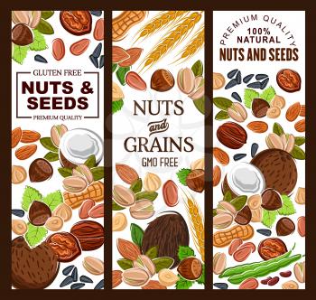 Nuts, seeds and cereal grains natural food. Vector healthy pistachios, kernels and peanuts, hazelnuts and sunflower seeds. Ears of wheat cereals, almonds and cashew