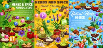 Herbs and spices, vitamin A, B, C, capsules and seasonings. Vector vegetables and condiments, thyme and basil, ginger and min, vanilla and lavender, anise star and rosemary, pepper and cinnamon