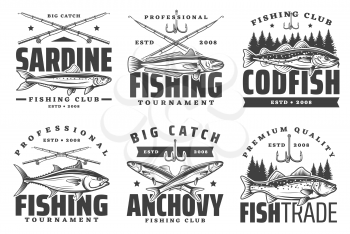 Fishing sport icons, sardine and anchovy, codfish icons. Fishery equipment, fishing rods and baits. Big catch, trophies on fishing sport