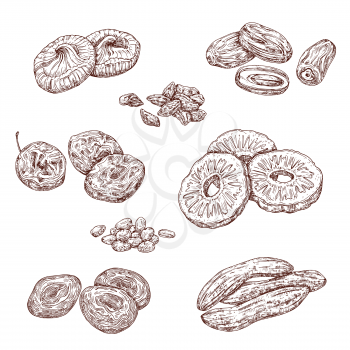 Dried fruits and candied berries isolated vector sketches. Dates, raisins and prunes, dried apricots and figs, pineapple and banana monochrome sketches