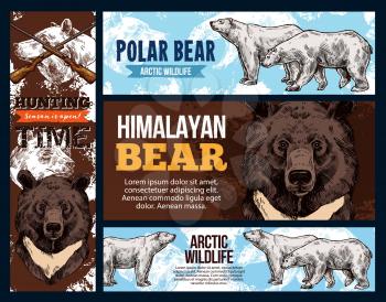Polar andhimalayan bears, wildlife and hunting. Vector white and brown bear animal sketches. Full length and muzzle of asian black bear and ursus maritimus