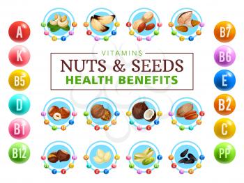 Nuts and seeds healthy benefits in vitamin complex. Vector A, B, D, K, E vitamin groups and natural grains, vegan diet nutrition. Coconut and walnut, hazelnut and pistachio, pumpkin or sunflower seeds