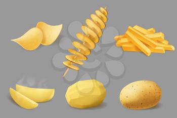 Potato vegetable food realistic design of vector potato chips, french fries and fried tornado swirls, boiled slices and baked wedges, peeled and raw tubes. Vegetable snack food design