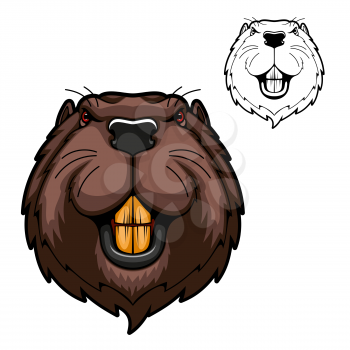 Beaver animal head vector mascot of hunting and sport design. Wild rodent mammal with bared teeth, red eyes and brown fur on angry muzzle. Canadian or American beaver symbol of hunter club, zoo, team