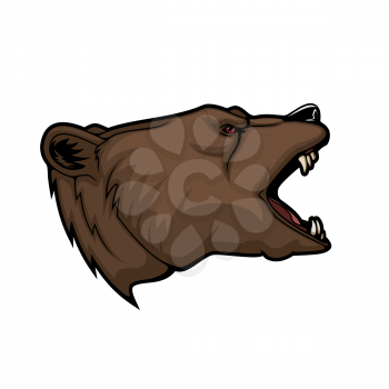 Bear or grizzly animal head vector mascot. Sport, hunting and zoo symbol of wild angry brown bear, aggressive predatory mammal roaring with open jaws, fang teeth and red eyes