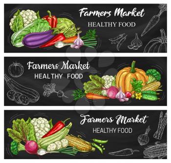 Vegetable chalkboard banners with vector chalk sketches of carrot, tomato, pepper and chilli. Radish, garlic, onion and broccoli, cabbage, eggplant, pea and corn, cauliflower, asparagus and zucchini