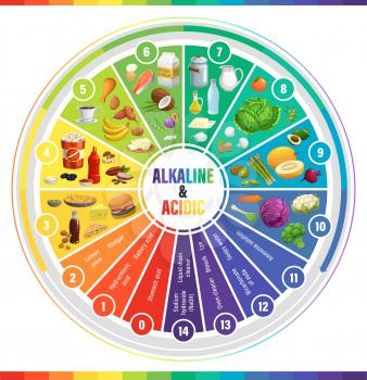 Round PH scale indicators chart, acids balance measure meter, vector chemistry science. PH alkaline and acidic indicators scale, chemical solution base values in water and food, vegetables and fruits