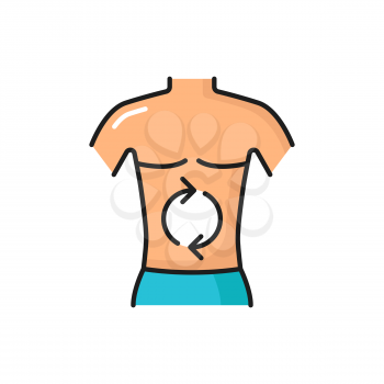 Good digestion in human body, healthcare concept isolated color line icon. Vector gastro medical drugs packaging with human torso, laxative system with rotating arrows gear box mechanics inside