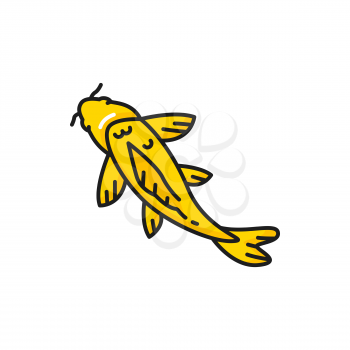 Golden fish chinese carp isolated color line icon. Vector fish saltwater and fresh water animal, fishery fishing sport mascot. Horoscope astrology symbol, asian fish flat design. Oriental koi carp
