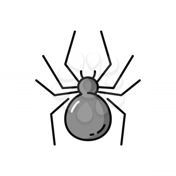 Spider Halloween holiday symbol isolated arachnid flat line icon. Vector poisonous black widow spinner. Caterpillar bug outline, dangerous creature, insect making spiderweb, party decor element