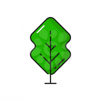 Green forest tree plant isolated outline icon. Vector landscape and garden architecture element, botanical spring or summer decorative environment object, ecology and save nature thin line park tree