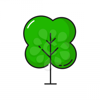 Elm or ash tree with leaves isolated green park plant thin line icon. Vector outline forest or garden architecture decor element. Thin line spring summer botany plant, save environment and nature