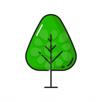 Green elm or ash tree isolated thin line icon. Vector forest wood plant, outline landscape and garden architecture element. Botanical spring or summer decorative tree, ecology and save nature