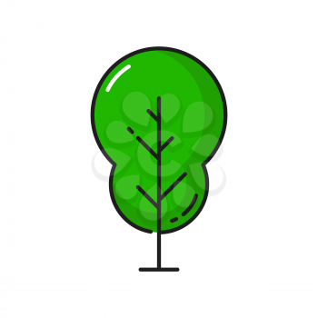 Green exotic tree isolated linear icon. Vector environment protection and save Earth object, care of nature plant. Outline park tree, garden and forest architecture element, flat cartoon organic plant