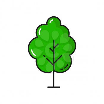 Green tree cartoon forest plant isolated thin line icon. Vector landscape and garden architecture element, greenery, ecology and save nature symbol. Botanical spring or summer environment decor object