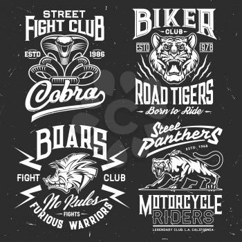 Tiger, cobra, panther and boar t-shirt print vector mockup of fight sport and biker club custom apparel template. Wild aggressive animal and attacking snake grunge badges with lettering