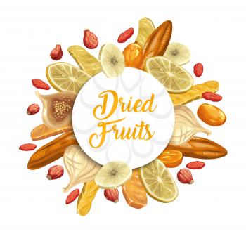 Dried tropical fruits round banner. Lemon slice, mango and dogwood, dry kumquat, fig and full and sliced on ring banana, rosehip hand drawn vector. Dried fruits dessert shop poster or frame