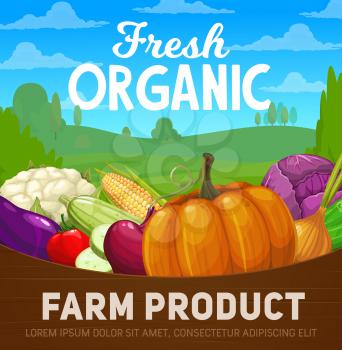 Fresh farm vegetables vector poster with organic food products. Cartoon tomato, cabbage, pumpkin and onion, zucchini, cauliflower, corn and eggplant, cucumber and beet in wood basket on farm field
