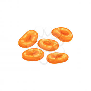 Apricot dried fruits, dry food snacks and fruit sweets, vector isolated icon. Dried apricots, fruity sweet dessert, vegetarian natural organic food and culinary ingredient