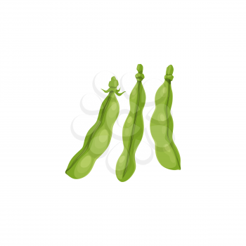 Green peas or bean pods, farm agriculture plants and seeds vector isolated icon. Green peas pods vegetable food, kidney or chickpea and bean, farm harvest symbol